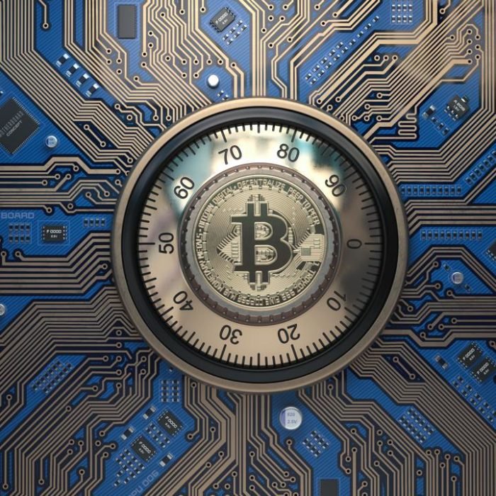 VISA Cryptocurrency Strategy